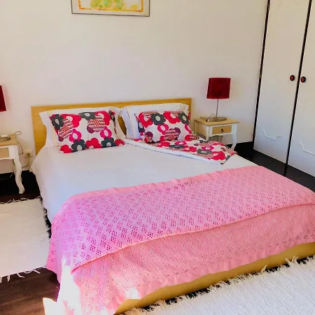 Casa Do Trevo Ubytování v soukromí Salir de Porto